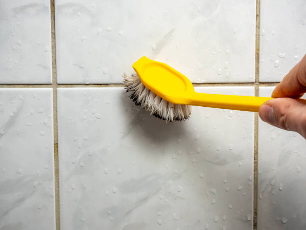 Best Affordable Mold Removal  in Olivette, MO