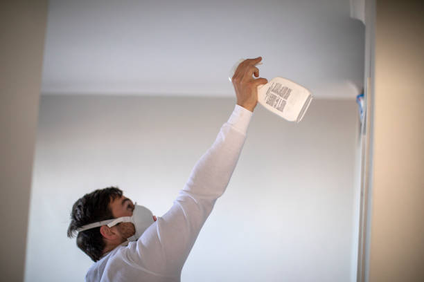 Best Emergency Mold Removal  in Olivette, MO