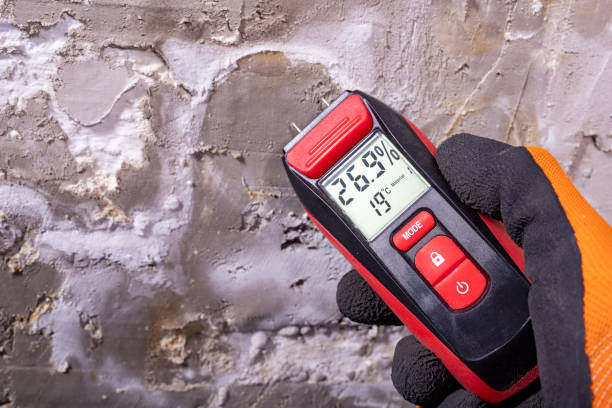 Mold Testing and Removal in Olivette, MO