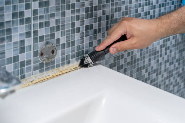 Home Mold Removal in Olivette, MO
